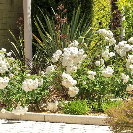 Apartment Palm Riviera - Croisette Terrace Garden